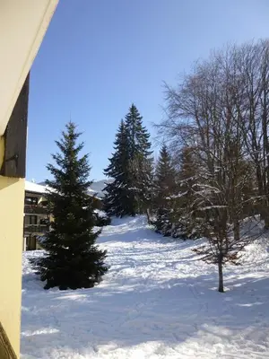 a snow covered yard with trees and a building at Joli studio aux Carroz d'Arâches in Arâches-la-Frasse