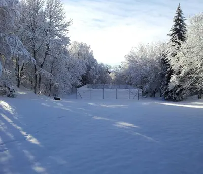 a snow covered field with trees and a fence at Joli studio aux Carroz d'Arâches in Arâches-la-Frasse