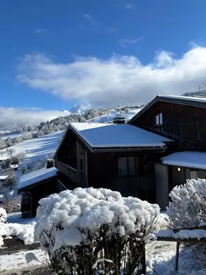 a house covered in snow with a tree at Grand studio Combloux - Vue Mont Blanc in Combloux