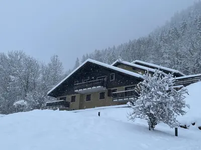 a house covered in snow with a tree in front of it at Les fermes de saint gervais in Saint-Gervais-les-Bains