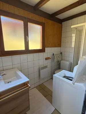 a bathroom with a sink and a washing machine at Charmant petit chalet cosy in Combloux