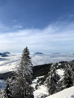 a group of trees on top of a snow covered mountain at Carroz d Araches , 2 pièces rénové vue montagne, 4 personnes, 3 min du centre, parking,balcon in Arâches-la-Frasse