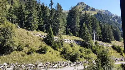 a view of a mountain with trees and a road at Residence De La Foret - Appartement confortable · Au pied des pistes MAE-9991 in Magland
