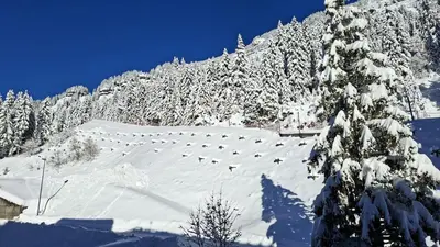 a group of people skiing down a snow covered mountain at Residence De La Foret - Appartement confortable · Au pied des pistes MAE-9991 in Magland