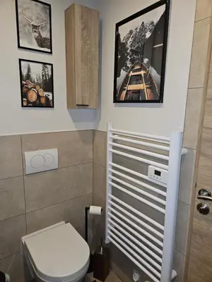 a bathroom with a toilet and pictures on the wall at Apartment in Saint-Gervais close to gondola in Saint-Gervais-les-Bains