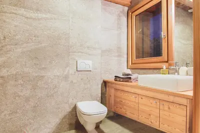 a bathroom with a toilet and a sink at Chalet La Petite Forêt in Megève