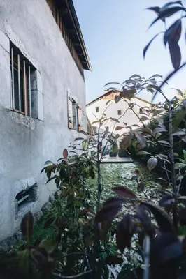 a building with a plant in front of a building at Design flat-center of Samoëns in Samoëns