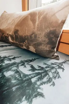 a pillow sitting on the floor next to a window at Design flat-center of Samoëns in Samoëns