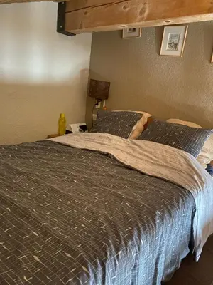 a bedroom with a bed with a gray comforter at Les blanches aiguilles in Les Carroz d'Araches