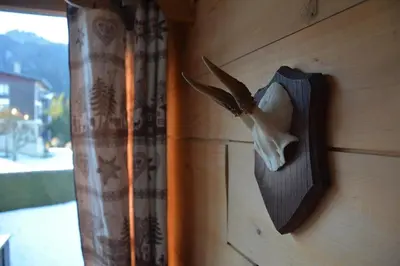 a bird head on the wall of a house at Superbe duplex with Hammam-Spa in Megève in Megève