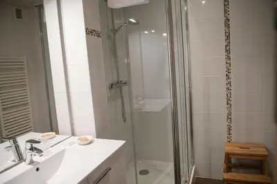 a bathroom with a shower and a sink and a toilet at Le Dahu in Chamonix-Mont-Blanc