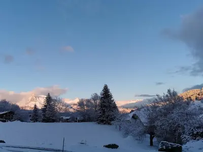 a snow covered field with trees and mountains at le Nid Douillet au pied de Megève in Demi-Quartier