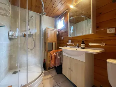 a bathroom with a shower and a sink and a toilet at Chalet paisible avec cheminée et animaux acceptés près des pistes - FR-1-624-176 in Sixt