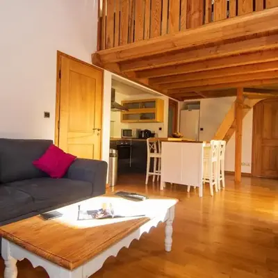 Petit Brio - Fabulous apartment in Samoens sleeps up to 4