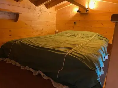 a bedroom with a green bed in a wooden room at Chalet vue montagne , proche des pistes in Megève