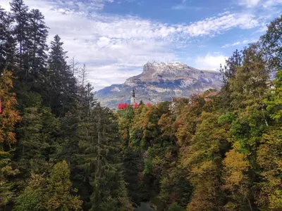 a mountain in the middle of a forest with a river at La Cabane Charmant T2 avec jardin centre village in Saint-Gervais-les-Bains