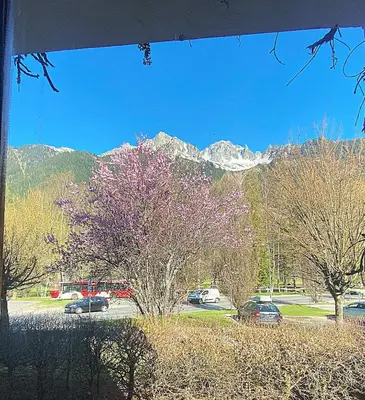 a purple tree in a parking lot with mountains in the background at Bright, warm 2BR 2min to gondola, private garden in Chamonix-Mont-Blanc