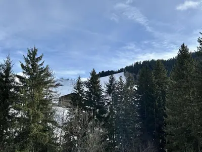 a cabin in the middle of a forest of trees at Appartement 2 Pièces + Coin Nuit, 4-6 Couchages avec Balcon et Parking à Megève - FR-1-597-191 in Megève