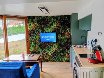 a kitchen with a green wall with a tv on it at Jungle room au centre des Carroz in Les Carroz d'Araches