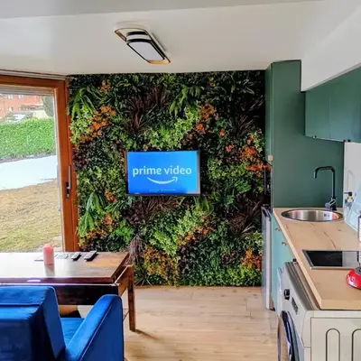 Jungle room au centre des Carroz
