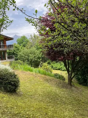 a tree in the grass next to a house at Appartement Saint-Gervais in Saint-Gervais-les-Bains
