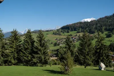 a green field with trees and houses on a mountain at Alto in Combloux