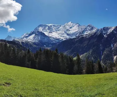 a green field with snow capped mountains in the background at Studio Le Flocon à Saint-Gervais-les-Bains in Saint-Gervais-les-Bains