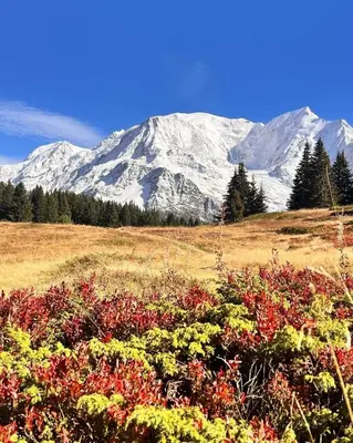 a field with snow covered mountains in the background at Studio Le Flocon à Saint-Gervais-les-Bains in Saint-Gervais-les-Bains