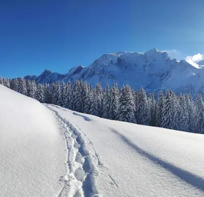 a trail in the snow with snow covered trees and mountains at Studio Le Flocon à Saint-Gervais-les-Bains in Saint-Gervais-les-Bains