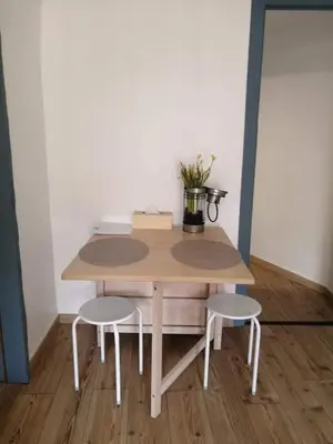 a table with two chairs and a potted plant on it at Au petit Névé in Les Houches