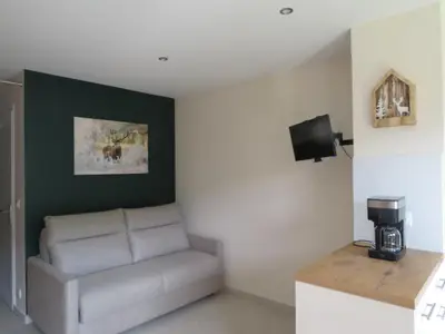 a living room with a couch and a tv at Magnifique studio Megève in Megève