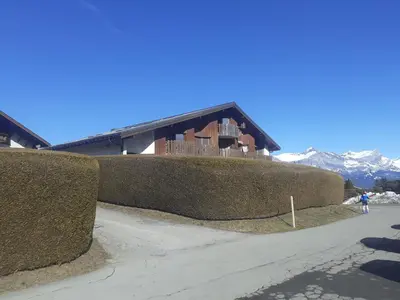 a house with large hedges in front of it at Magnifique studio Megève in Megève