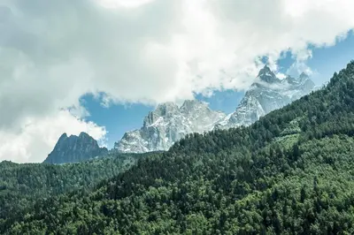 a mountain range with trees and mountains in the background at Apartment Plan de l'Aiguille - Garden Chx Center in Chamonix-Mont-Blanc