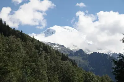 a snow covered mountain in the middle of a forest at Apartment Plan de l'Aiguille - Garden Chx Center in Chamonix-Mont-Blanc