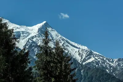 a snow covered mountain with a tree in front of it at Apartment Plan de l'Aiguille - Garden Chx Center in Chamonix-Mont-Blanc