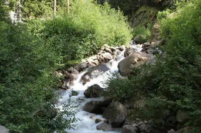 a stream of water with rocks and trees at Apartment Plan de l'Aiguille - Garden Chx Center in Chamonix-Mont-Blanc