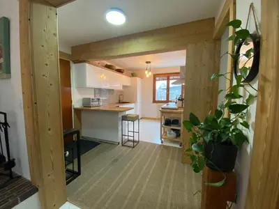 a kitchen and living room with a counter and a plant at Apartment Chamonix Brise du Mont in Chamonix-Mont-Blanc