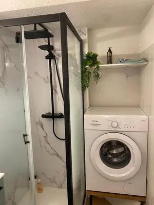 a washing machine in a bathroom with a camera at Studio Cosy 4 personnes avec jardin in Combloux