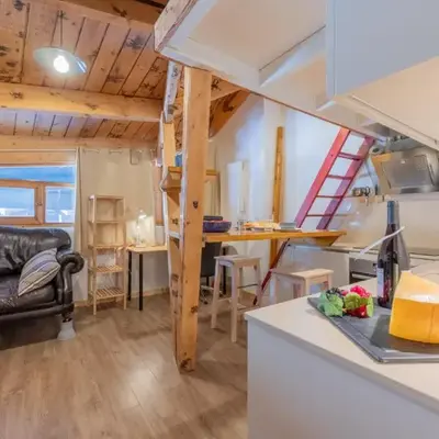 Résidence Grand Roc - Ancolies 348 - Happy Rentals