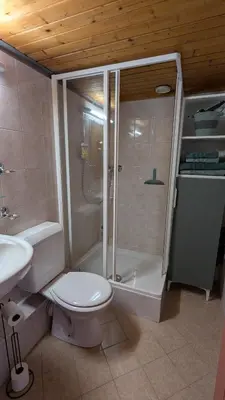 a bathroom with a shower and a toilet and a sink at les Cristaux in Combloux