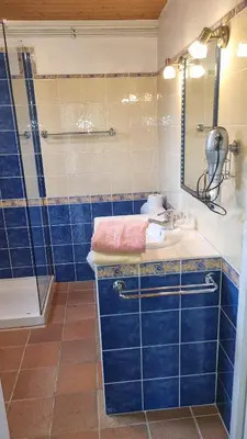 a bathroom with a sink and a shower at Petit mazot savoyard in Servoz