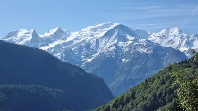 a snow covered mountain range with trees in the foreground at Petit mazot savoyard in Servoz