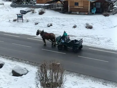 a person in a horse drawn carriage on a road at Le Cocon des Cîmes in Les Contamines-Montjoie