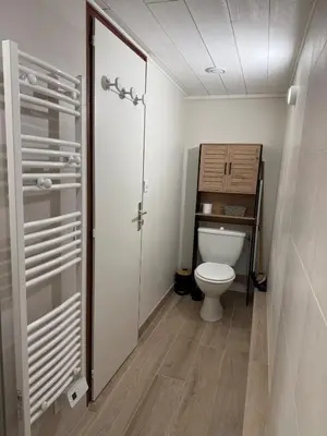 a small bathroom with a toilet and a shower at Joli 2P Mummery centre-ville de Chamonix in Chamonix-Mont-Blanc