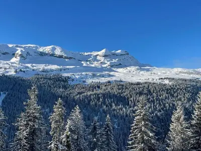 a snowy mountain with trees and snow covered mountains at Verseau Flaine Forêt in Arâches-la-Frasse