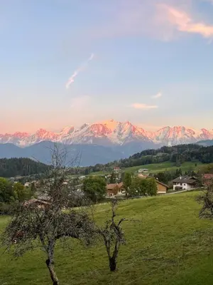 a bedroom with a large bed with a green wall at Cocon alpin in Cordon