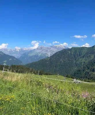 a field of grass with mountains in the background at Appartement 4 personnes Samoëns 1600 in Samoëns