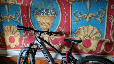 a bike parked in front of a wall at LES JARDINS ALPINS CHEZ Olivier in Saint-Gervais-les-Bains