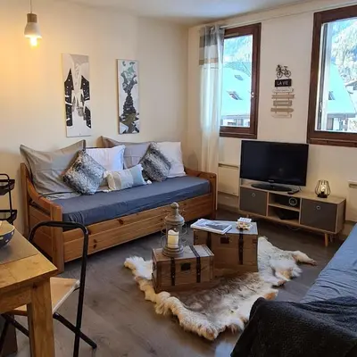 a living room with a couch and a tv at Le studio du Cerf in Chamonix-Mont-Blanc