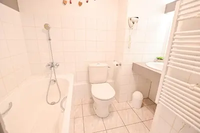 a bathroom with a shower and a toilet and a sink at Petite Cordée in Combloux